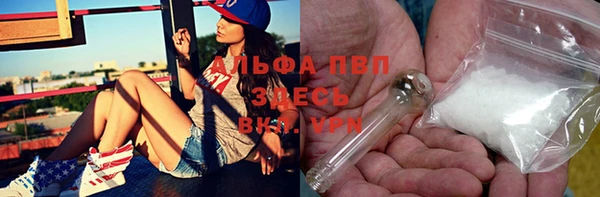 индика Богородицк