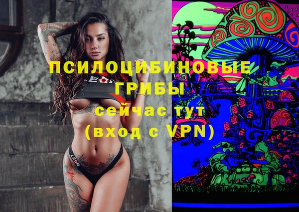 бошки Бородино