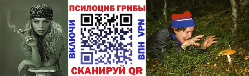 где продают наркотики  Старица  Псилоцибиновые грибы Cubensis 