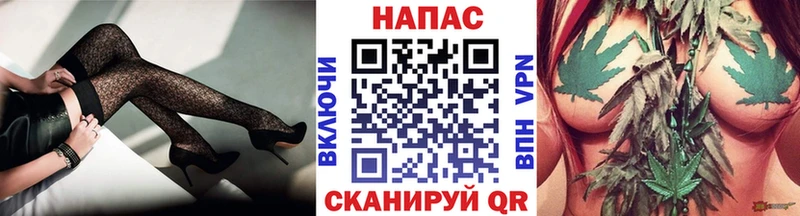 мега ONION Старица Шишки марихуана семена